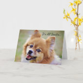 Lächelnder Spitz Geburtstagskarte Karte (Gelbe Blume)