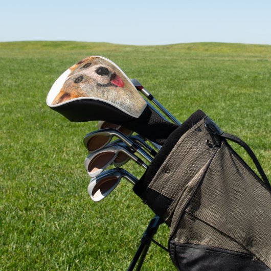 Lächelnder walisischer Corgi Pembroke Hund Golf Headcover (In SItu)