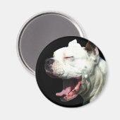 Lächelnder White Boxer Hundemagnet Magnet (Vorderseite/Rückseite)