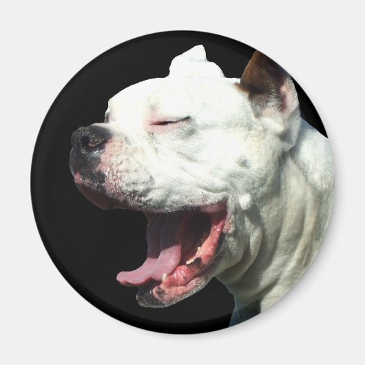 Lächelnder White Boxer Hundemagnet Magnet (Vorne)