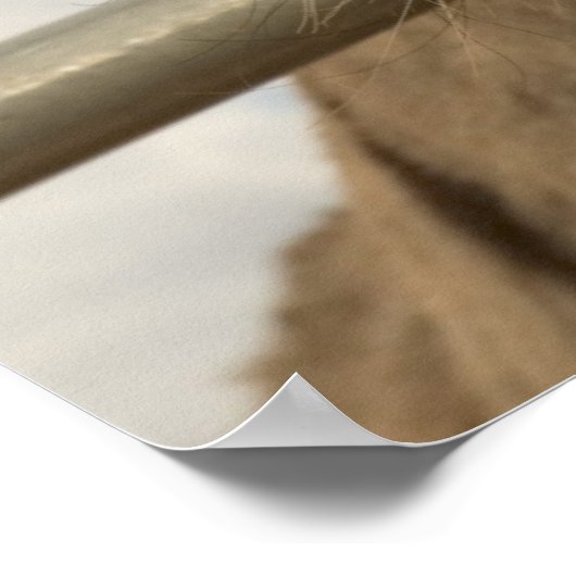 Lächelndes Burro Poster (Ecke)