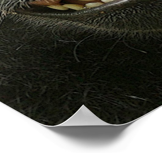 Lächelndes Crested Macaque Poster (Ecke)