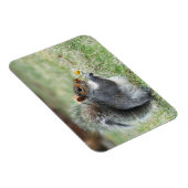 Lächelndes Eichhörnchen mit Daisy Magnet (Rechte Seite)