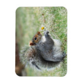 Lächelndes Eichhörnchen mit Daisy Magnet (Vertikal)