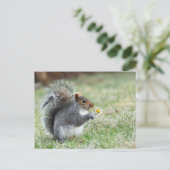 Lächelndes Eichhörnchen mit Dissy Postkarte (Stehend Vorderseite)