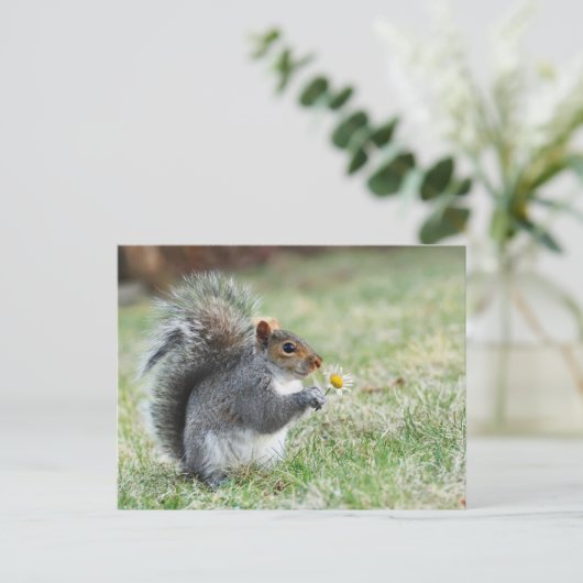 Lächelndes Eichhörnchen mit Dissy Postkarte (Stehend Vorderseite)