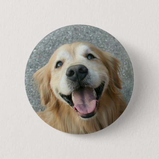 Lächelndes golden retriever button (Vorderseite)