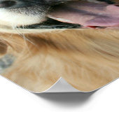 Lächelndes Golden Retriever Poster (Ecke)