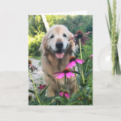 Lächelndes goldenes Retriever unter rosa Blume bla Karte (Vorderseite)