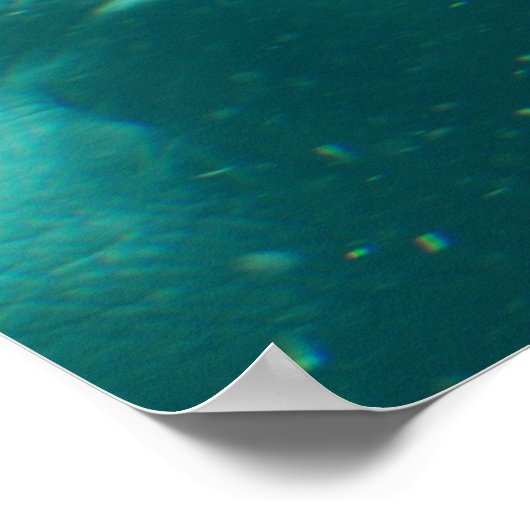 Lächelndes Hippo Poster (Ecke)