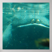 Lächelndes Hippo Poster (Vorne)