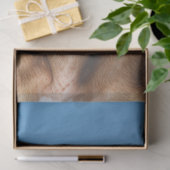 Lächelndes Hund im Bereich der Blume Seidenpapier (Geschenk)