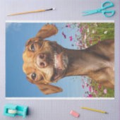 Lächelndes Hund im Bereich der Blume Seidenpapier (Basteln)