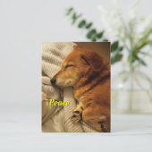 Lächelndes Hund Postkarte (Stehend Vorderseite)