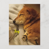 Lächelndes Hund Postkarte (Vorderseite)