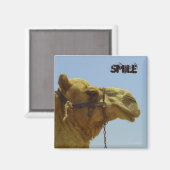 Lächelndes Kamel im Profil - Kamel in der Wüste Magnet (Vorderseite/Rückseite)