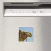 Lächelndes Kamel im Profil Magnet (In Situ (Geschirrspüler))