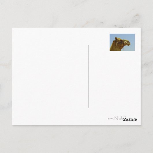 Lächelndes Kamel im Profil Postkarte (Rückseite)