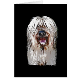 Lächelndes Kitz Briard