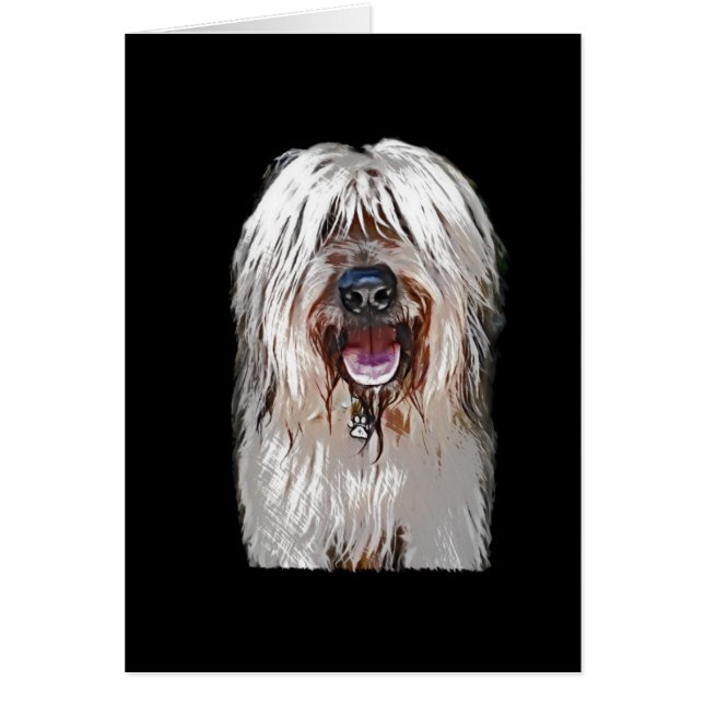 Lächelndes Kitz Briard (Vorne)