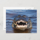 Lächelndes Krokodil Postkarte (Vorne/Hinten)