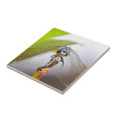 Lächelndes Libellen-MakroFoto Fliese (Seite)