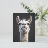 Lächelndes Llama Nah-Up Postkarte (Stehend Vorderseite)