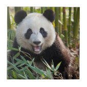 Lächelndes Panda Portrait Fliese (Vorderseite)