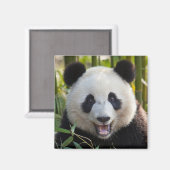 Lächelndes Panda Portrait Magnet (Vorderseite/Rückseite)