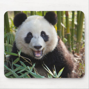 Lächelndes Panda Portrait Mousepad