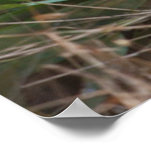 Lächelndes Panda Portrait Poster (Ecke)