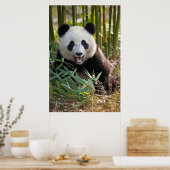 Lächelndes Panda Portrait Poster (Küche)