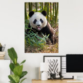 Lächelndes Panda Portrait Poster (Heimbüro)