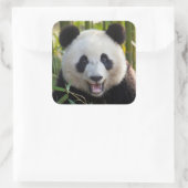 Lächelndes Panda Portrait Quadratischer Aufkleber (Tasche)