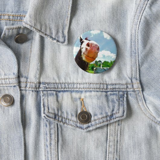 Lächelndes Pferd Button (Beispiel)