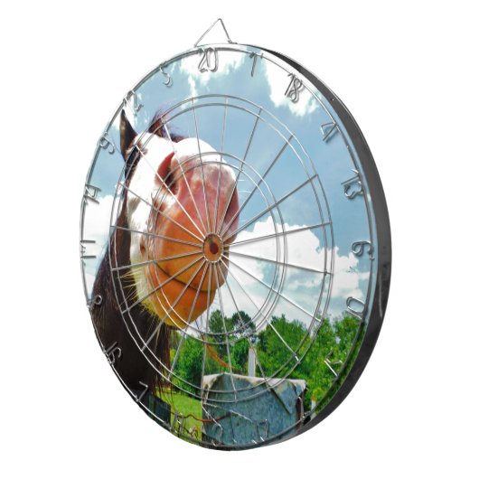 Lächelndes Pferd Dartscheibe (Vorderseite rechts)