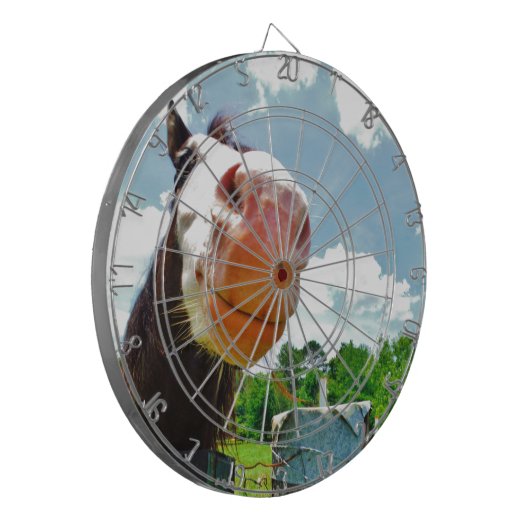 Lächelndes Pferd Dartscheibe (Vorderseite Links)