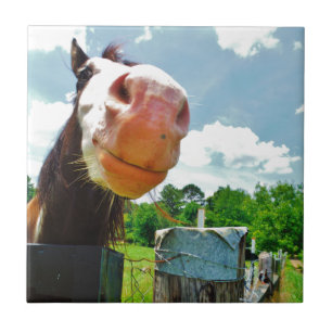 Lächelndes Pferd Fliese