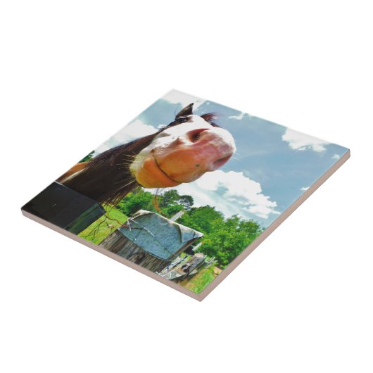 Lächelndes Pferd Fliese (Seite)
