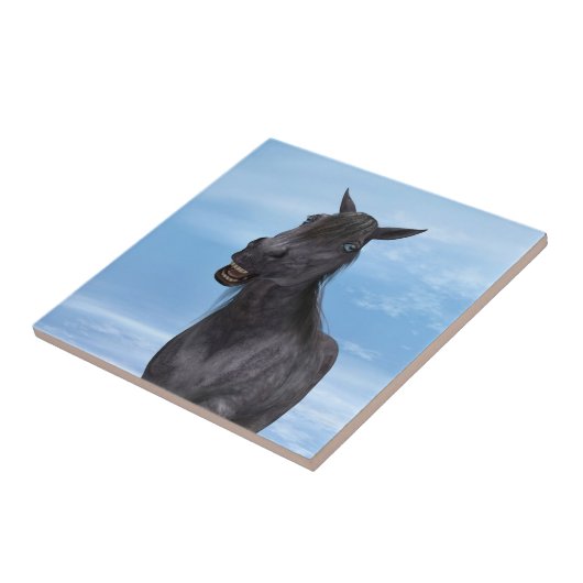 Lächelndes Pferd Fliese (Seite)