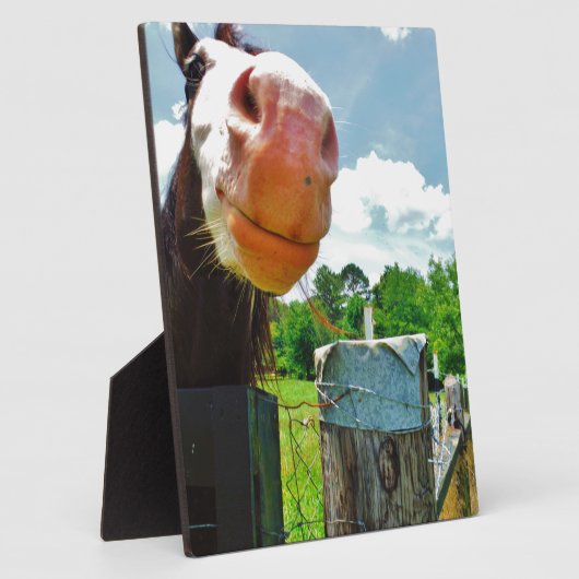 Lächelndes Pferd Fotoplatte (Seite)