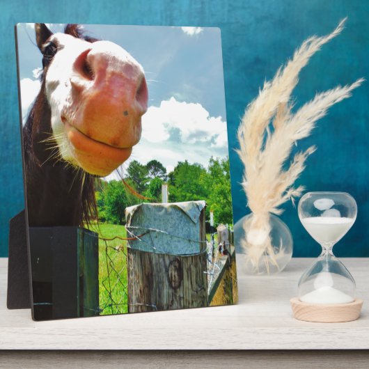 Lächelndes Pferd Fotoplatte (Seite)