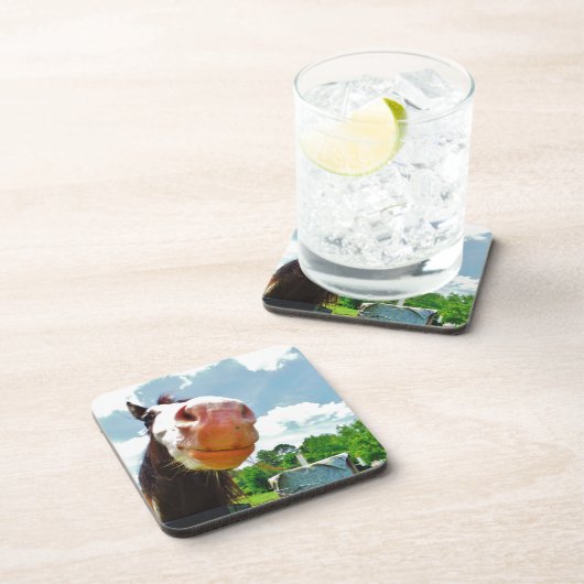 Lächelndes Pferd Getränkeuntersetzer (Rechte Seite)