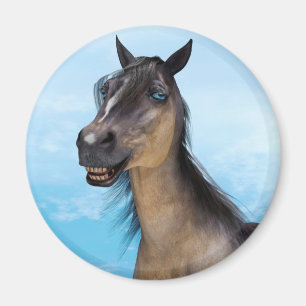 Lächelndes Pferd Magnet