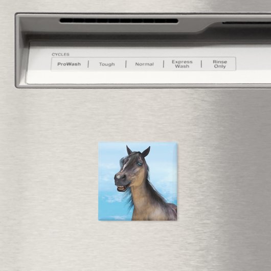 Lächelndes Pferd Magnet (In Situ (Geschirrspüler))