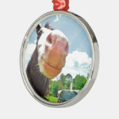 Lächelndes Pferd Ornament Aus Metall (Links)