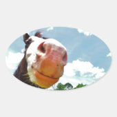 Lächelndes Pferd Ovaler Aufkleber (Vorderseite)