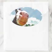 Lächelndes Pferd Ovaler Aufkleber (Tasche)