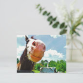 Lächelndes Pferd Postkarte (Stehend Vorderseite)