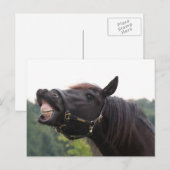 lächelndes Pferd Postkarte (Vorne/Hinten)